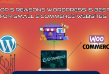 WordPress for Your Small E-Commerce